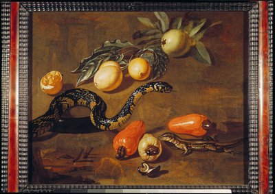 Stilleven van Vruchten uit Suriname en Reptielen door Dirk Valkenburg